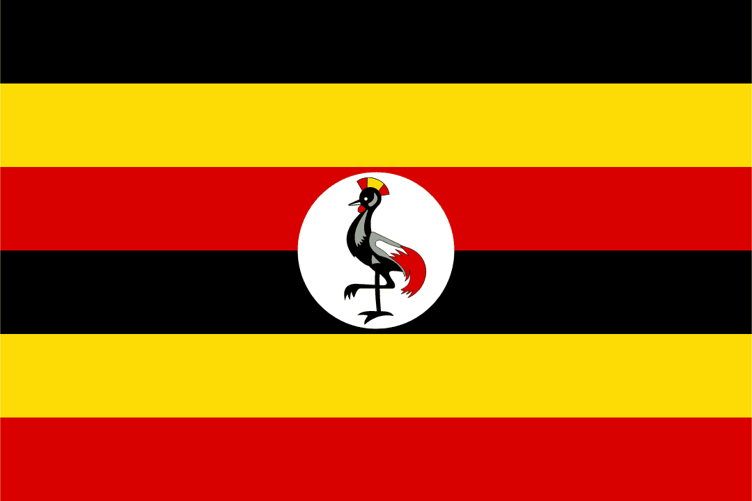 Contact Infolytics Zoho Uganda